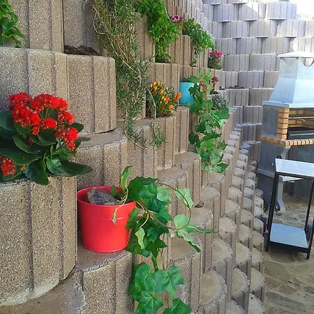 Barranco Do Zambujeiro 펜션 *